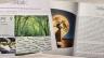 Blick ins Buch - Magic Horoskop