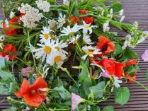Sommerblumen: Margeriten und Mohnblumen
