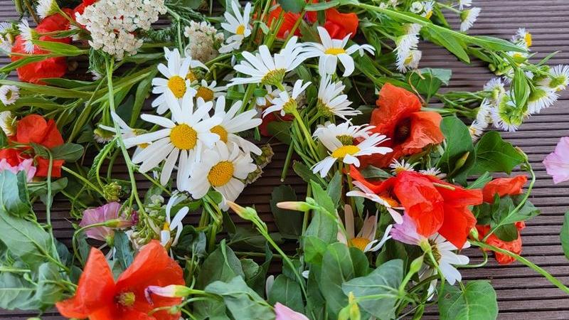Sommerblumen: Margeriten und Mohnblumen