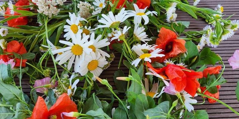 Sommerblumen: Margeriten und Mohnblumen