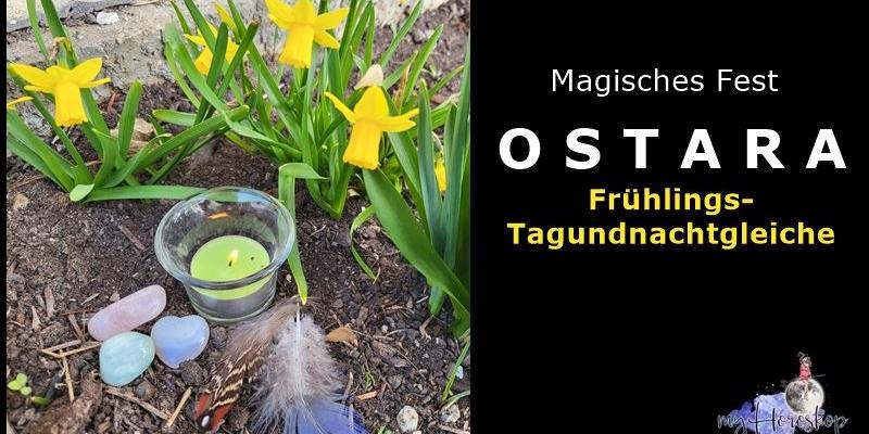 Narzissen, Kerze, Federn zum magischen Fest Ostara
