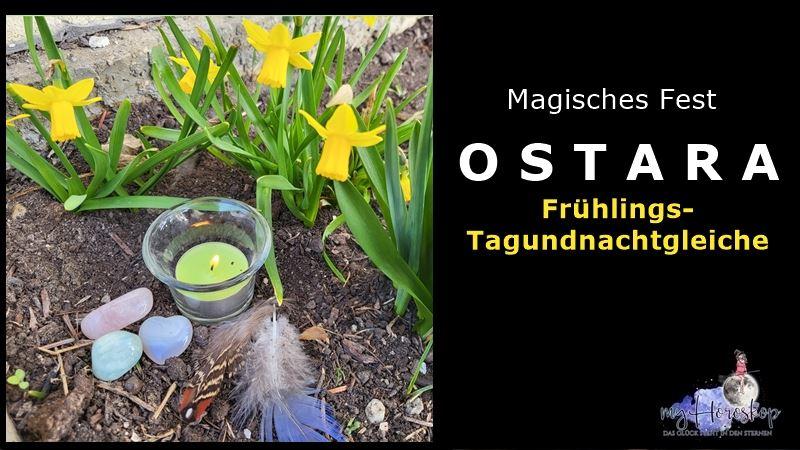 Narzissen, Kerze, Federn zum magischen Fest Ostara