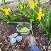 Narzissen und Kerzen zum Fest Ostara