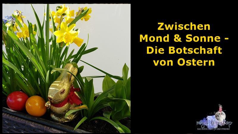 Osterhase und Ostereier