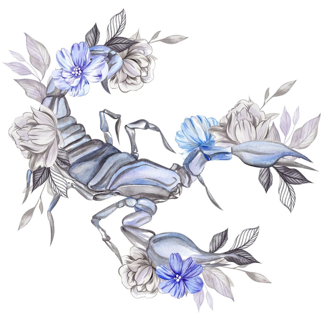 Astrologisches Zeichen Skorpion