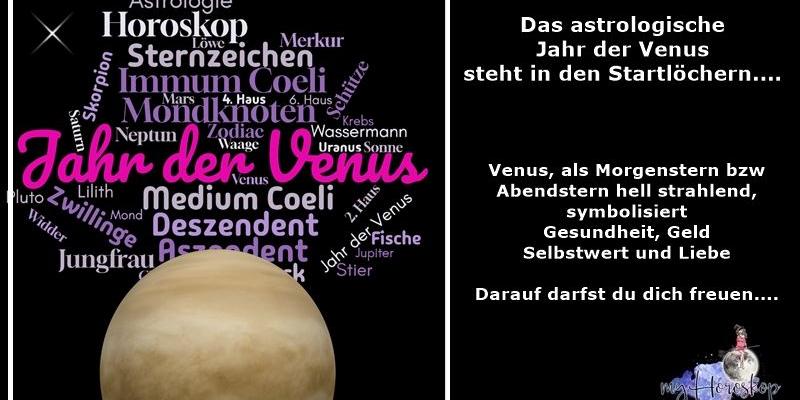 Jahr der Venus 2025