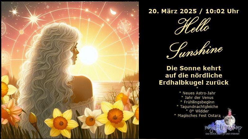 Jahr der Venus 2025