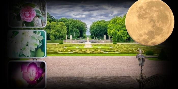 Parklandschaft Waage Vollmond