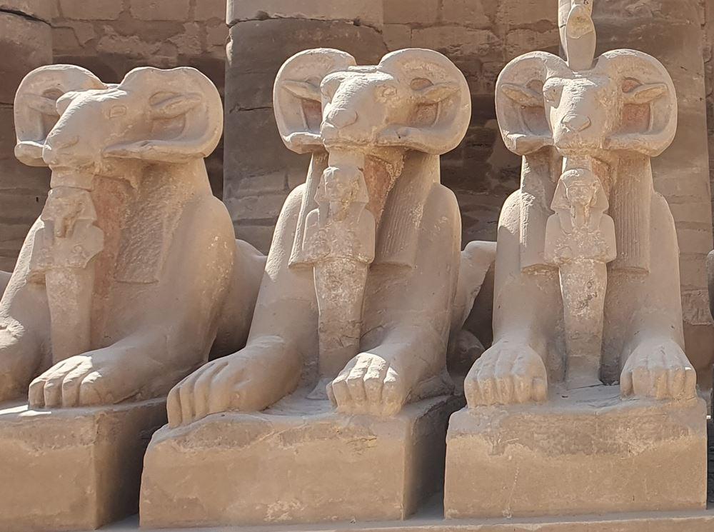 Sphinxallee mit Widderkopf Tempel Luxor