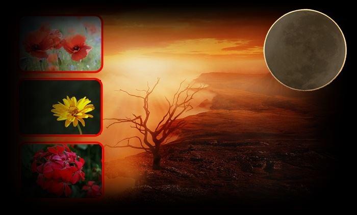 Widder-Landschaft Neumond