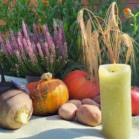 Herbstbeginn quadrat