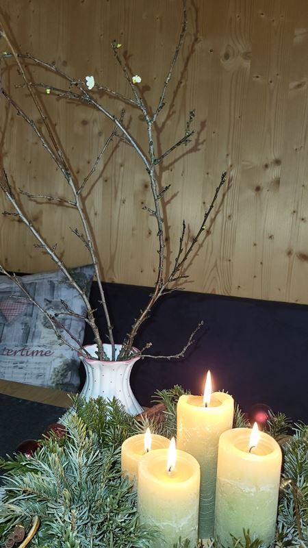 blühende Barbarazweige am 4. Adbentsonntag