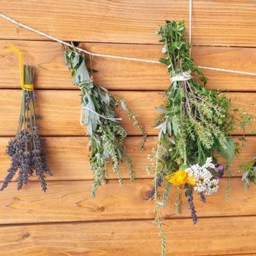 Kräuter sammeln zu Lammas