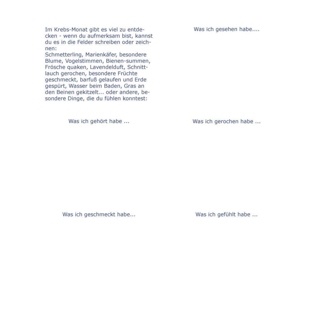 Litha-Magazin Seite 3